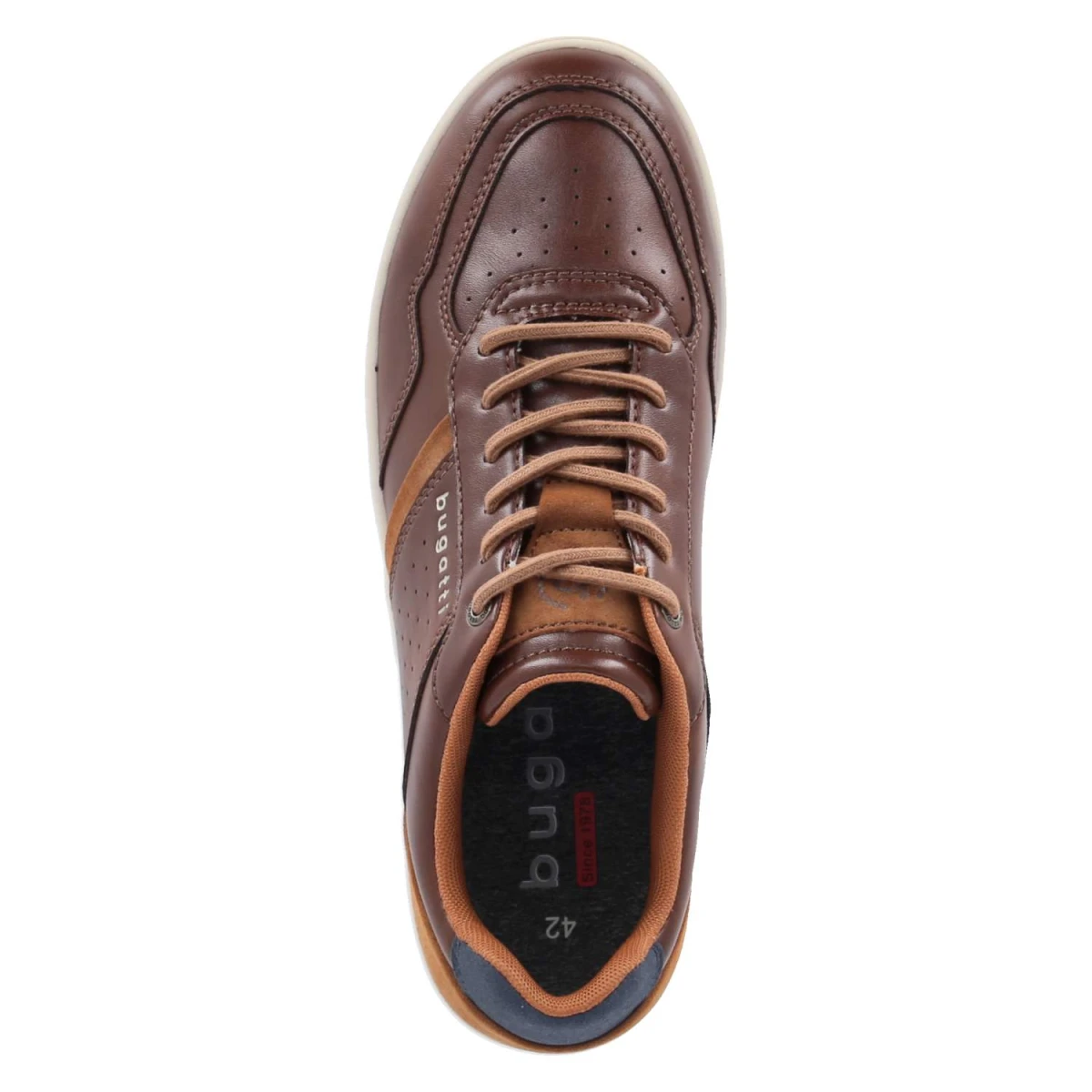 Low Sneaker - brown