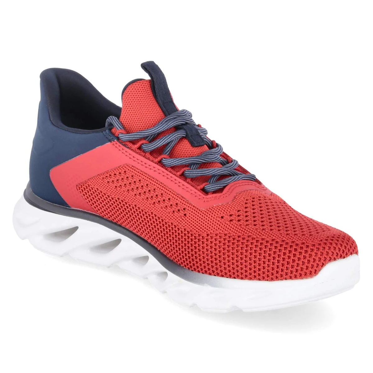 Low Sneaker - red/dark blue