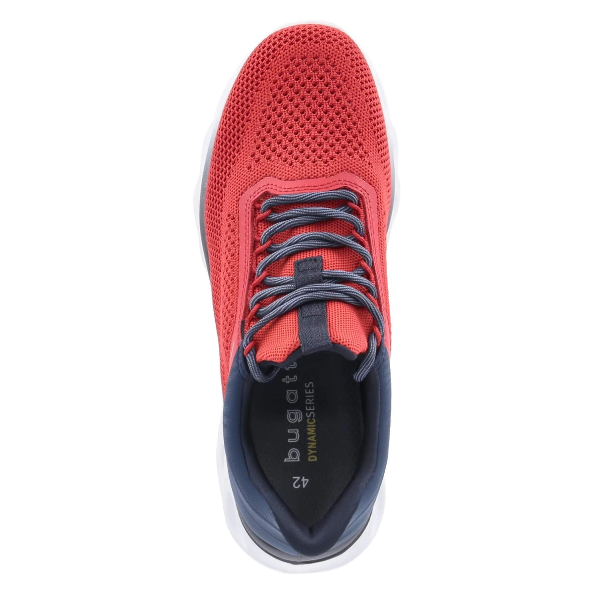 Low Sneaker - red/dark blue