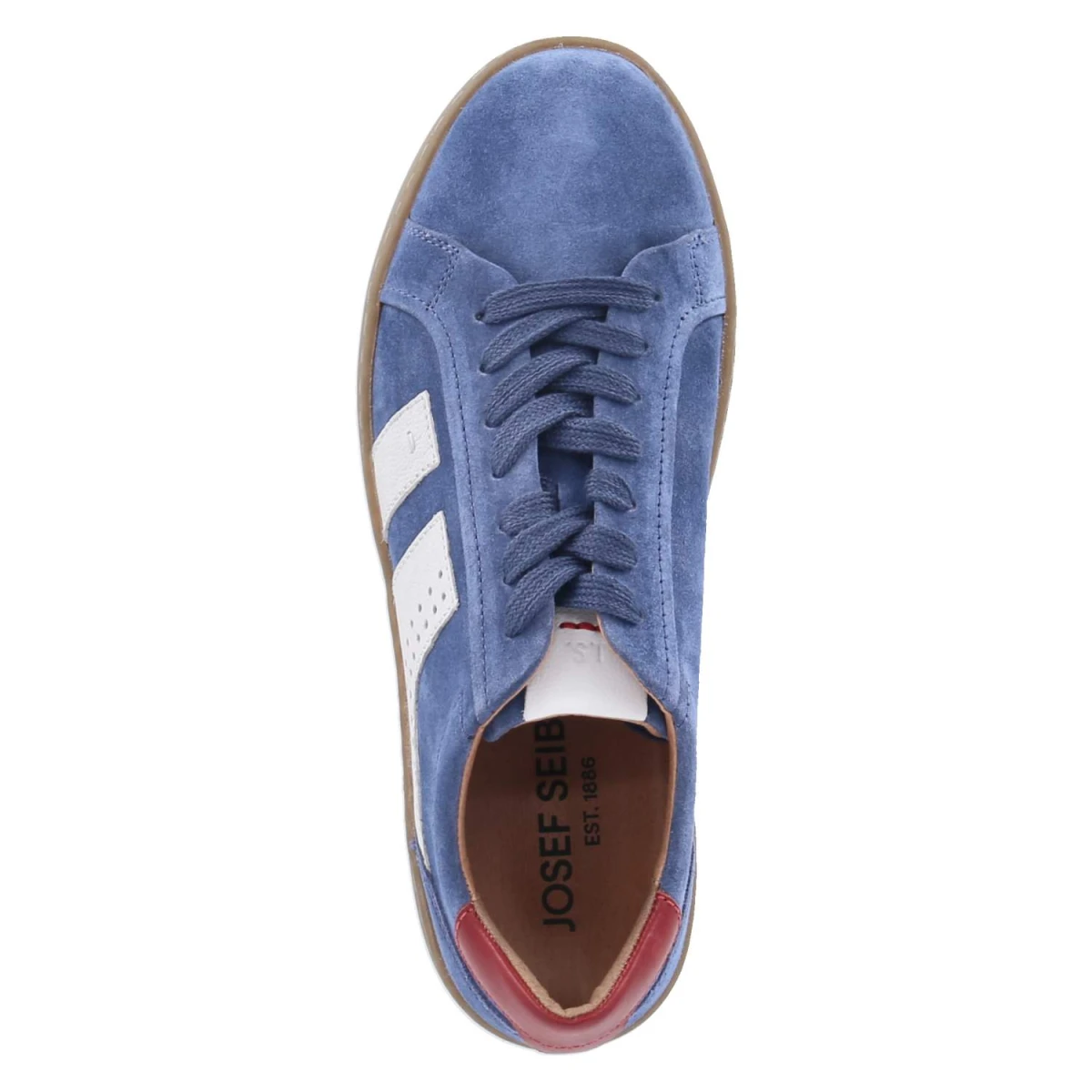 Low Sneaker LIO 07 - shark-multi