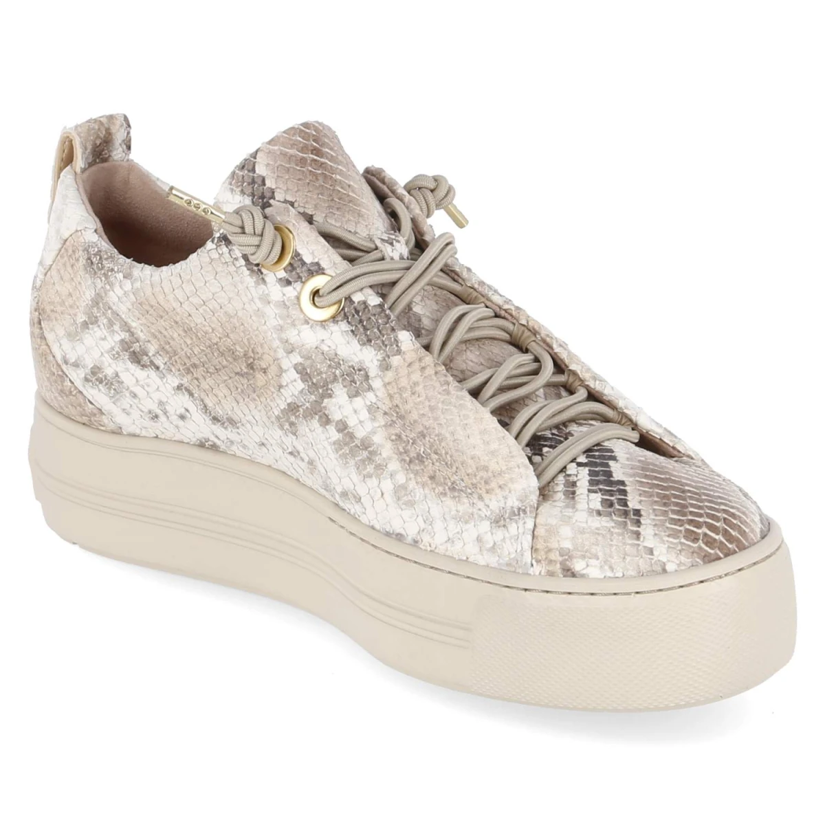 Low Sneaker - Boa Antic Biscuit