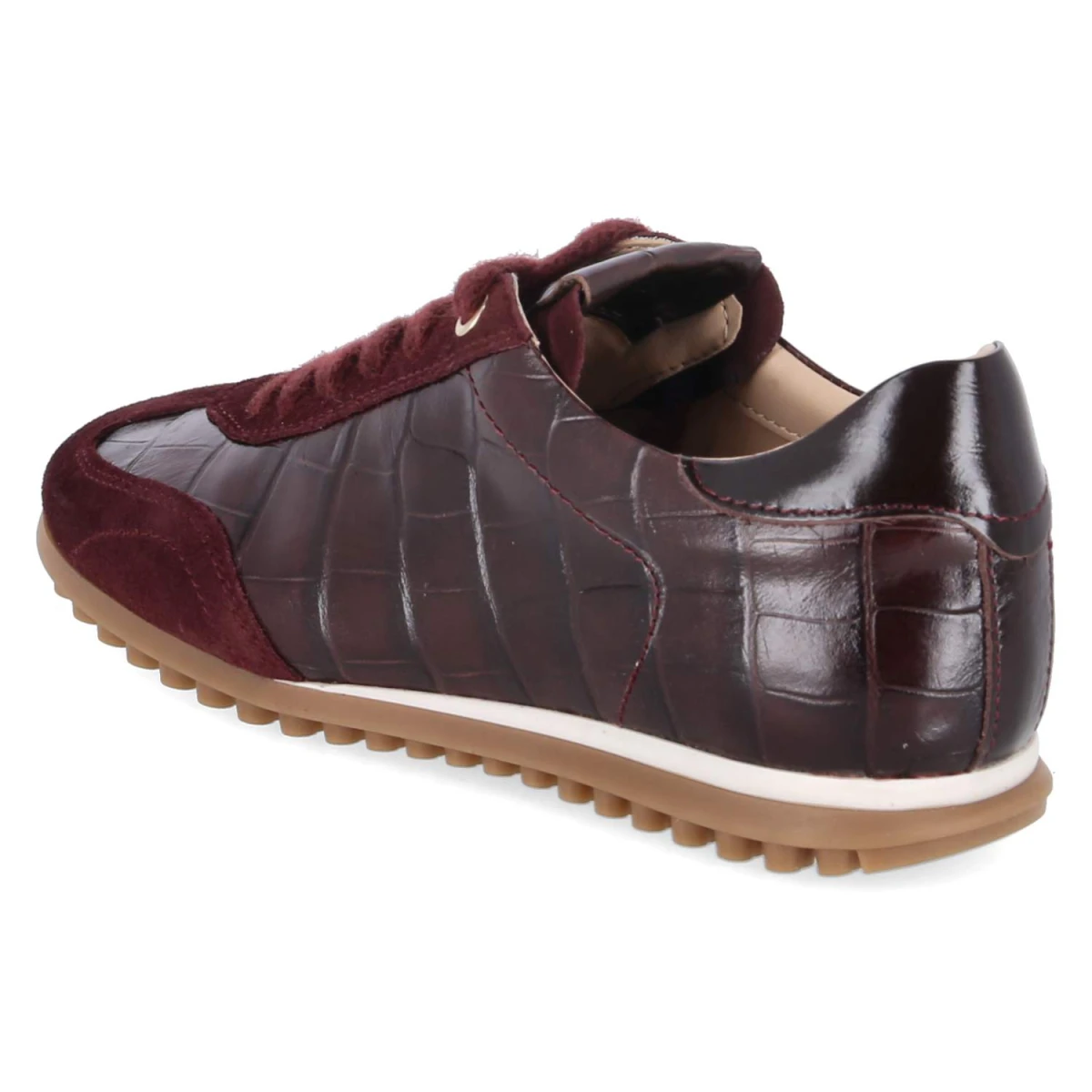 Low Sneaker RIBES - Vi_Bo_Mog