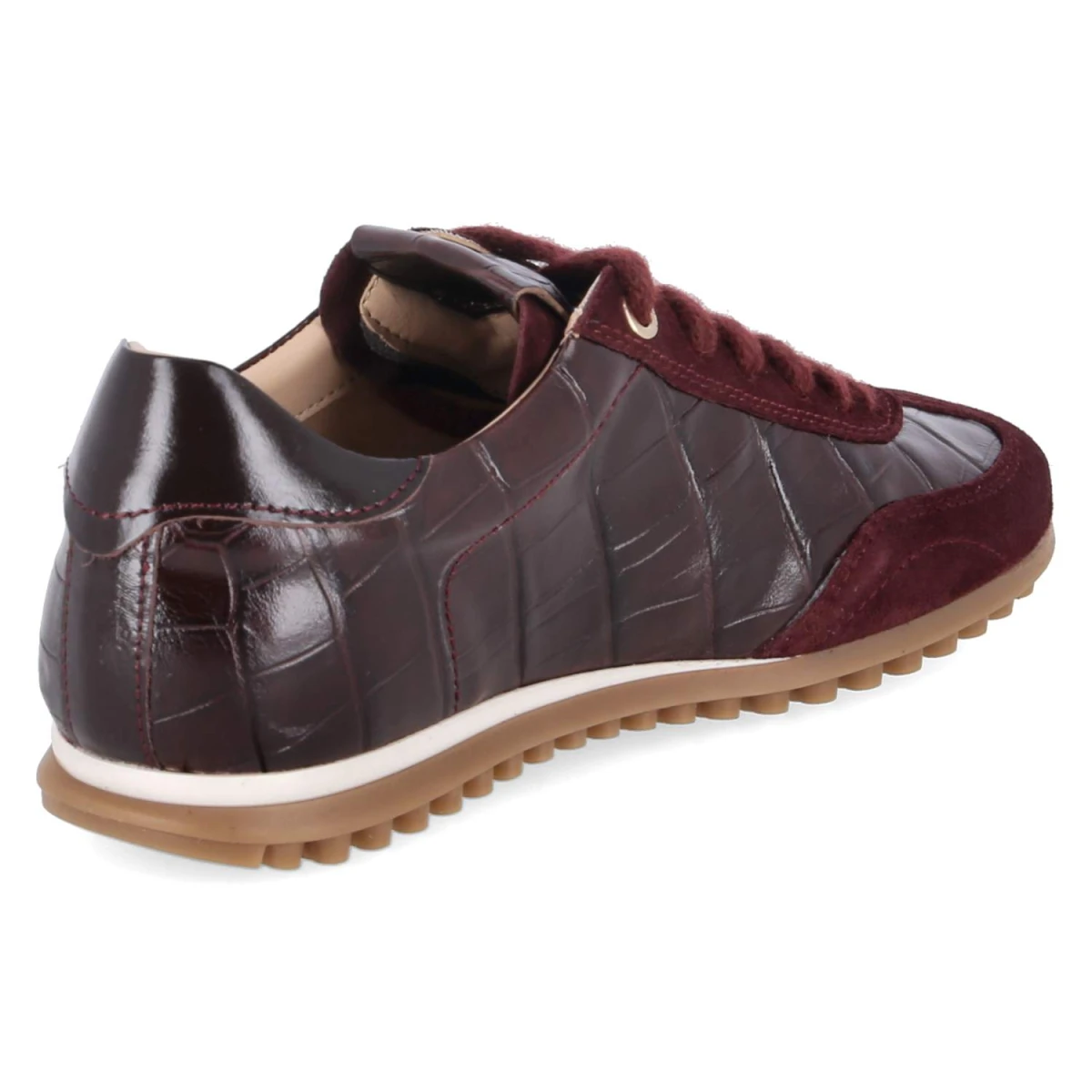Low Sneaker RIBES - Vi_Bo_Mog