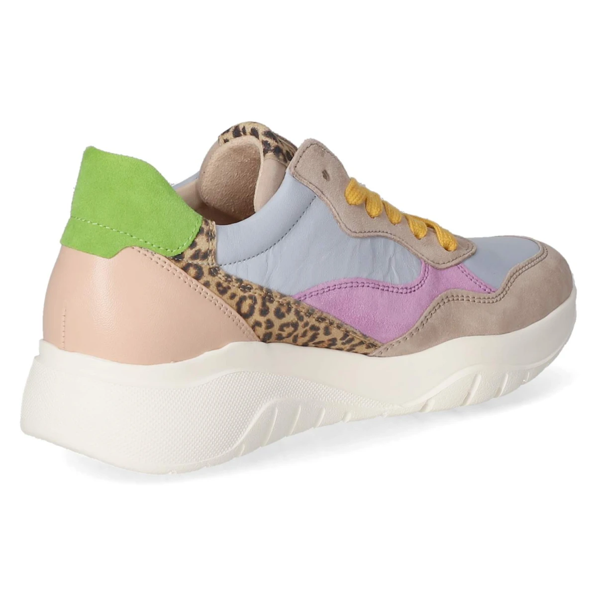 Low Sneaker - rabbit-multi-kombi