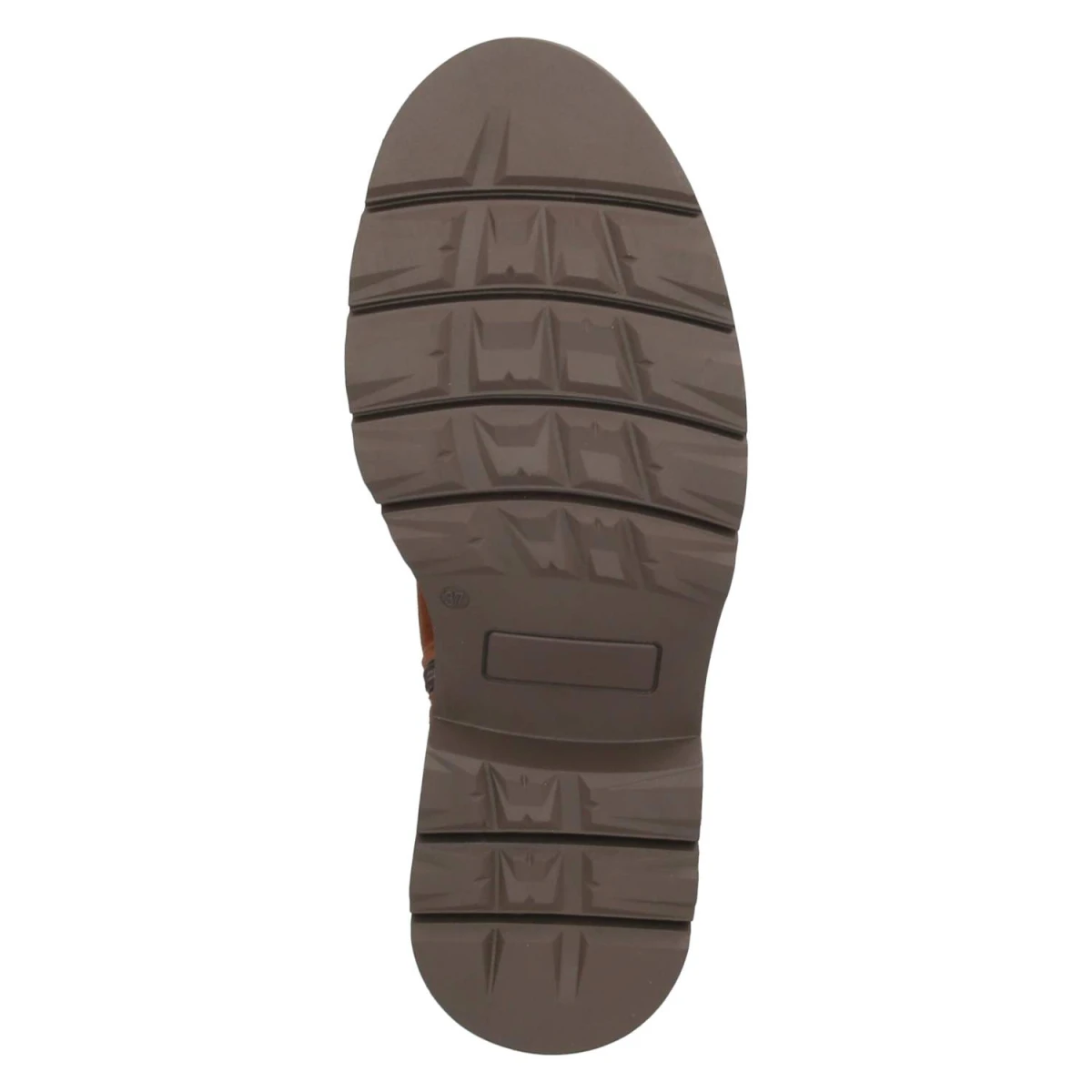 Schnürboots - corteccia