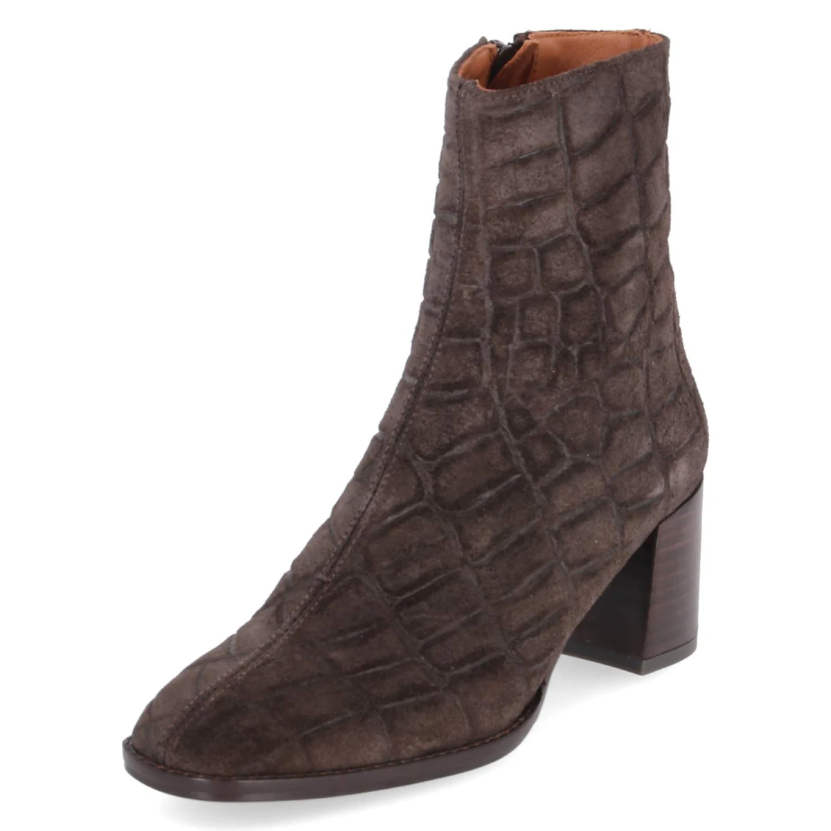 Ankle Boots - marron