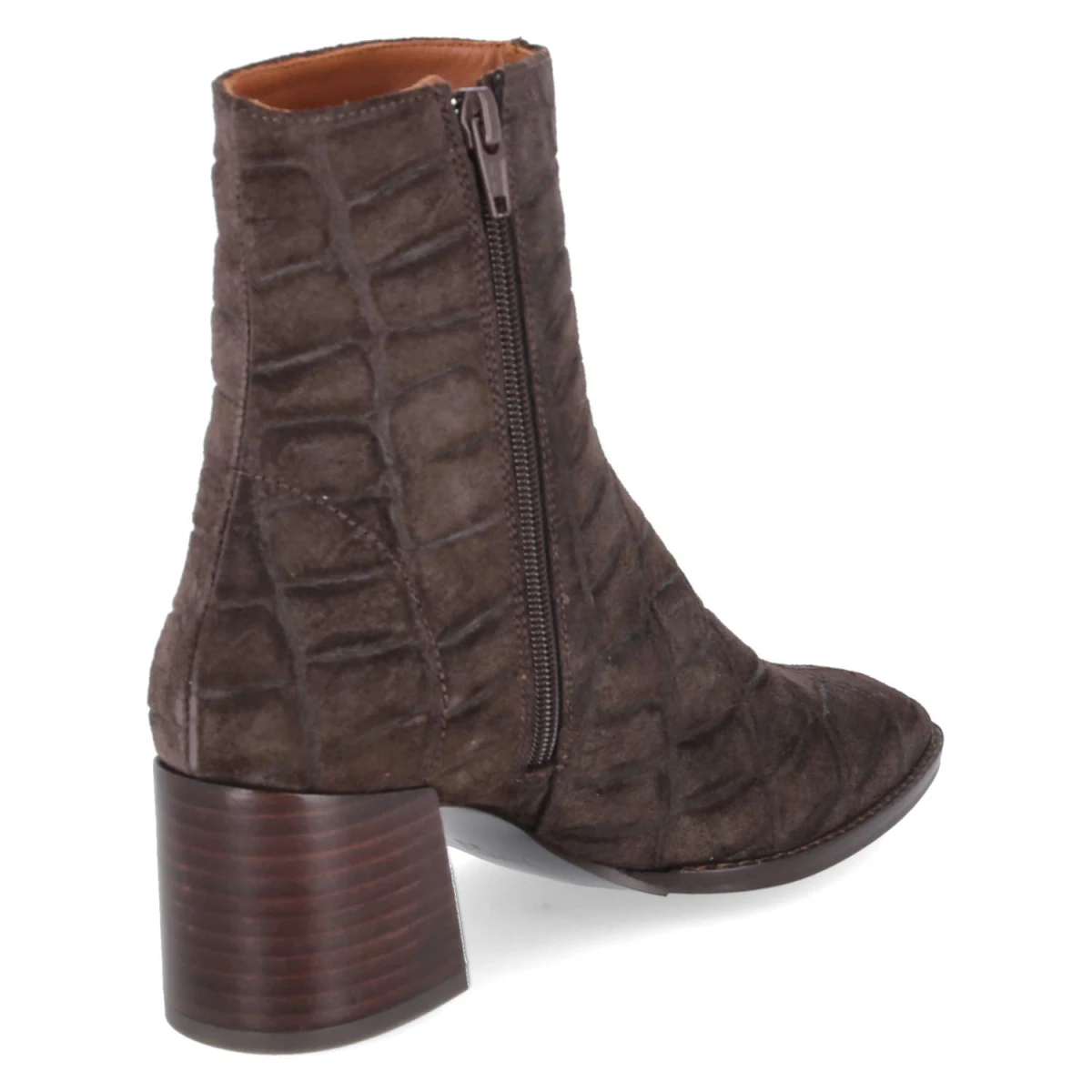 Ankle Boots - marron