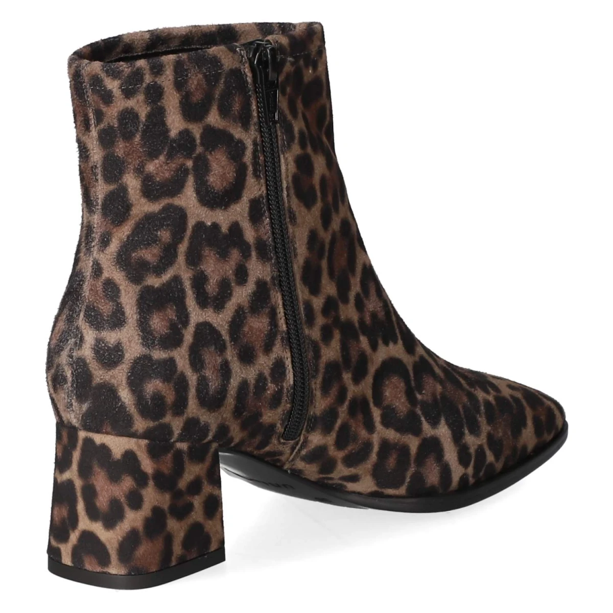 Stiefeletten - Topo